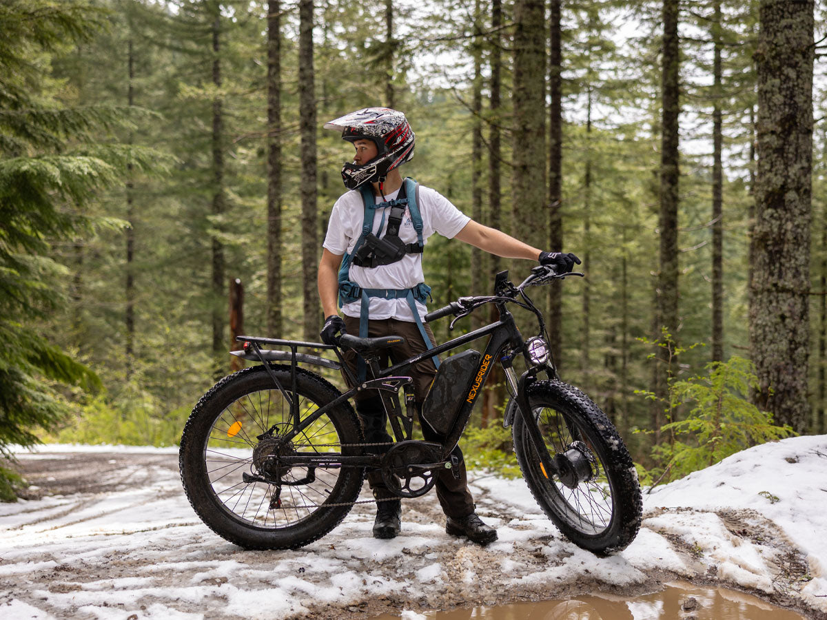 (Ship from China)Nexusrider TrailBlazer Dual Motors Electric Bike