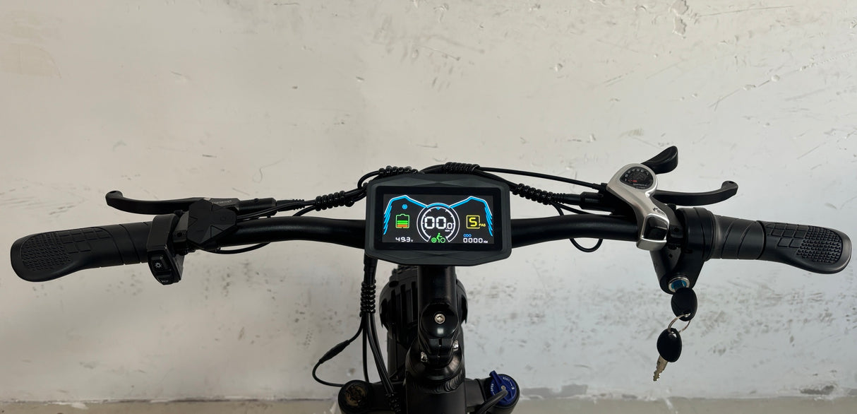 SMLRO EBIKE New Replaceable Display Screen/LCD/Meter(EB 300)