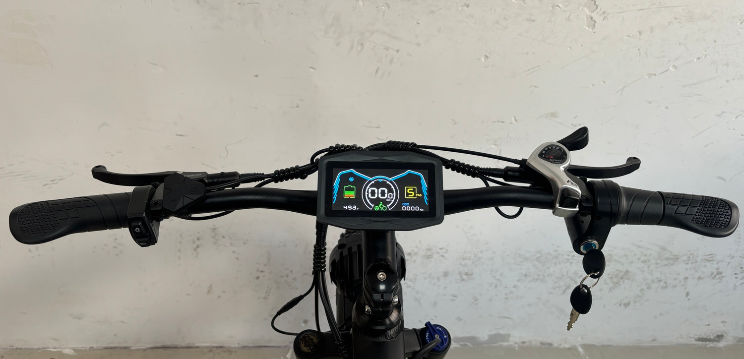 SMLRO EBIKE New Replaceable Display Screen/LCD/Meter(EB 300)