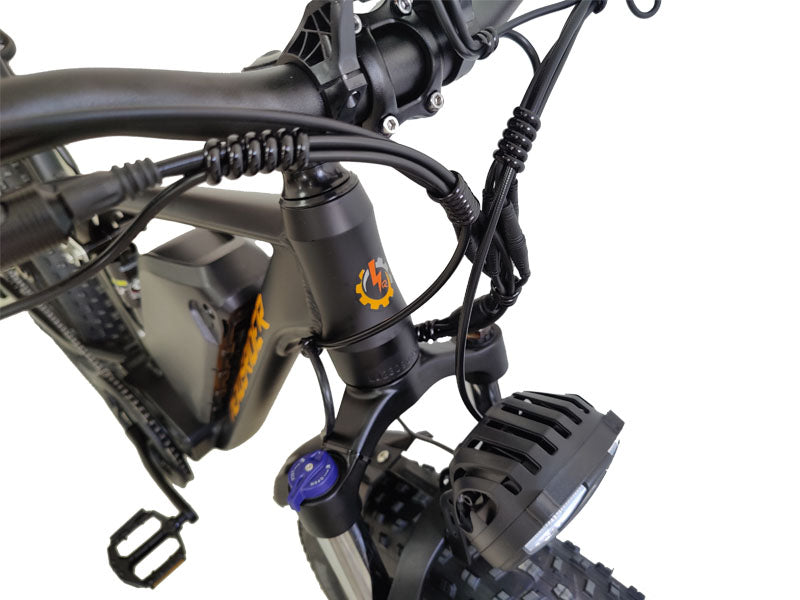(Ship from China)Nexusrider TrailBlazer Dual Motors Electric Bike