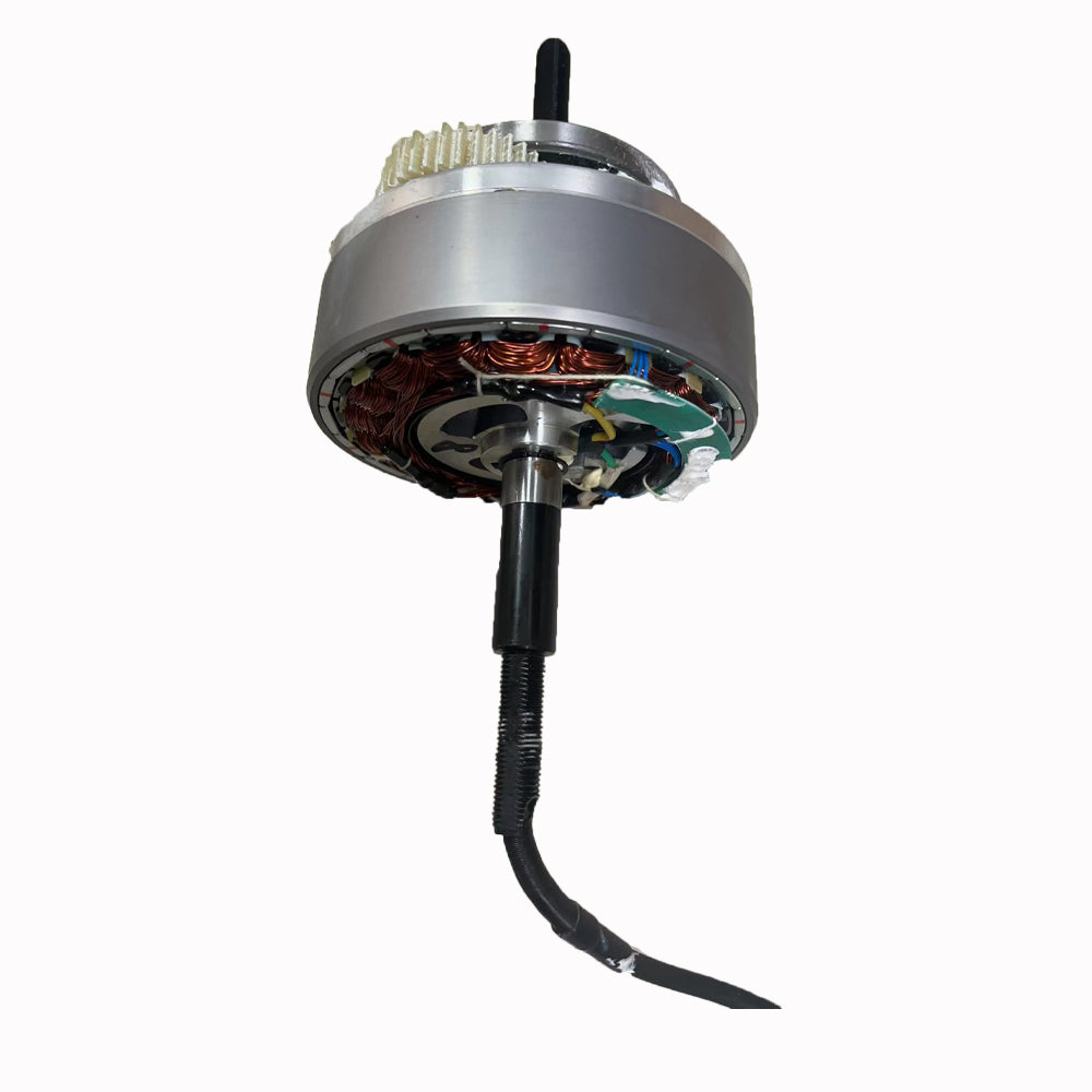 SMLRO-ORLMS Ebike Original Replaceable Motor (Without Covers and Flywheel)
