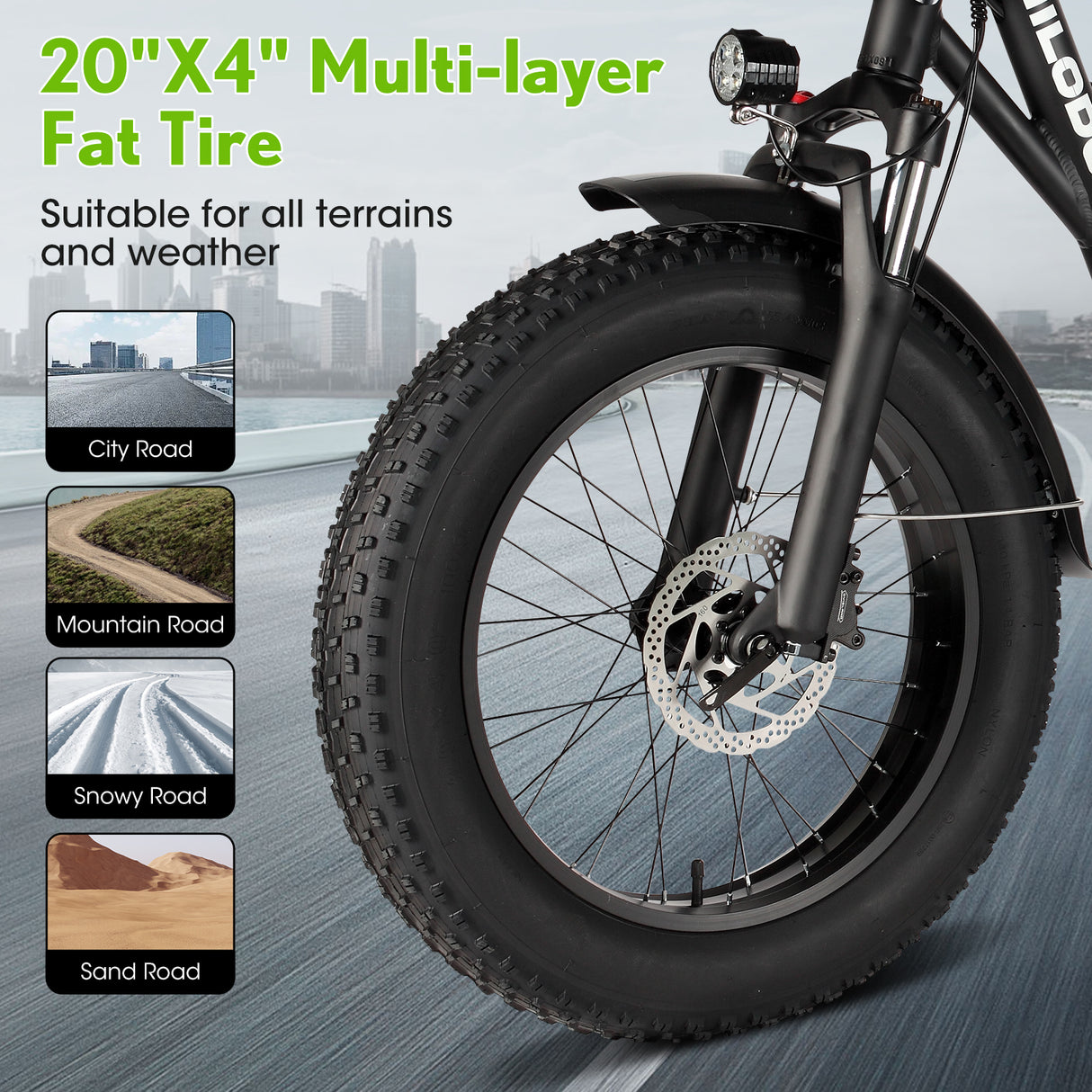 (EU Stock)PHILODO T1 Electric Bike