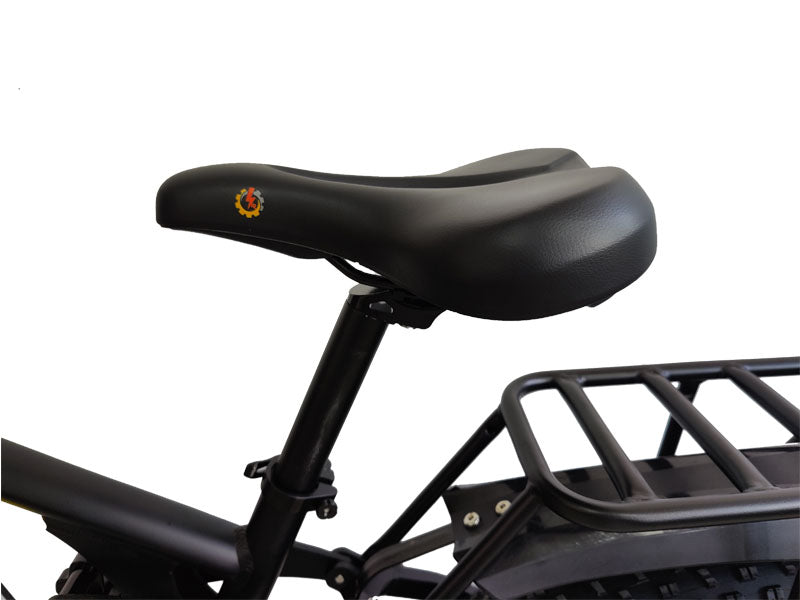 (Ship from China)Nexusrider TrailBlazer Dual Motors Electric Bike
