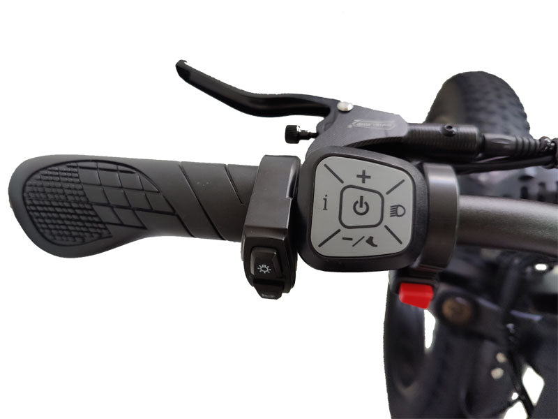 (Ship from China)Nexusrider TrailBlazer Dual Motors Electric Bike