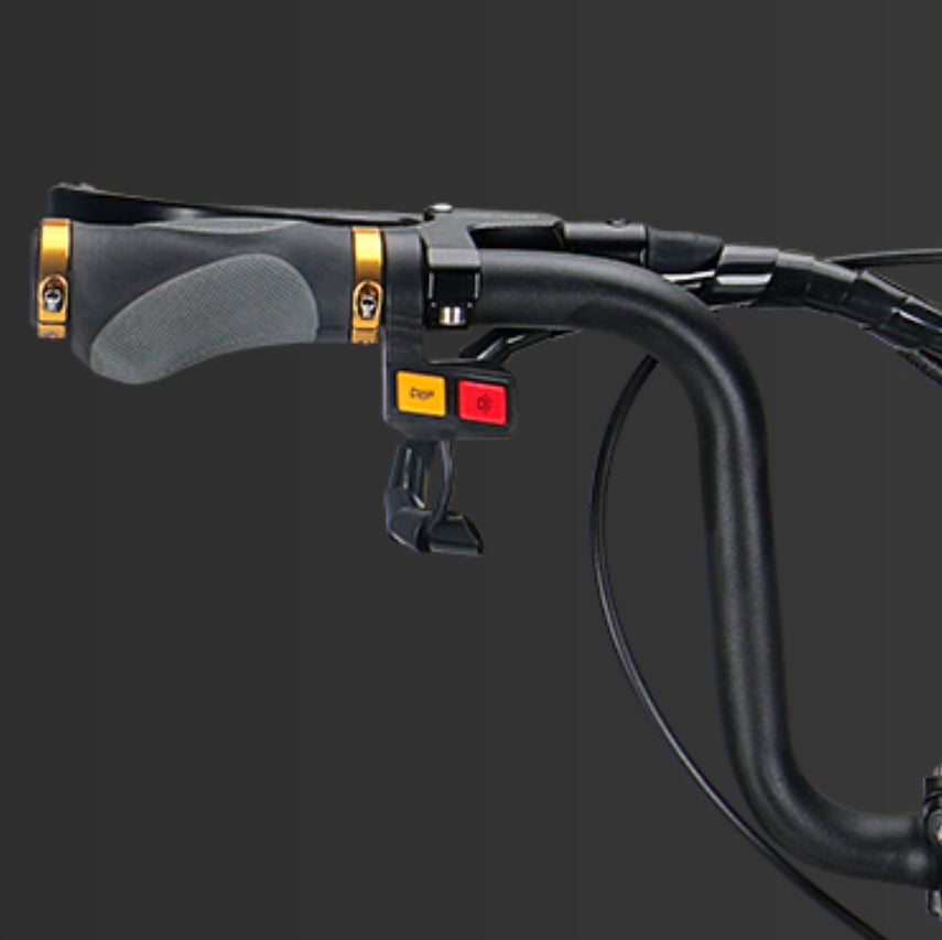 Afreda S6 | Europe’s Favorite 1s Fold Reverse 3-Wheeler – All-Terrain Electric Trike