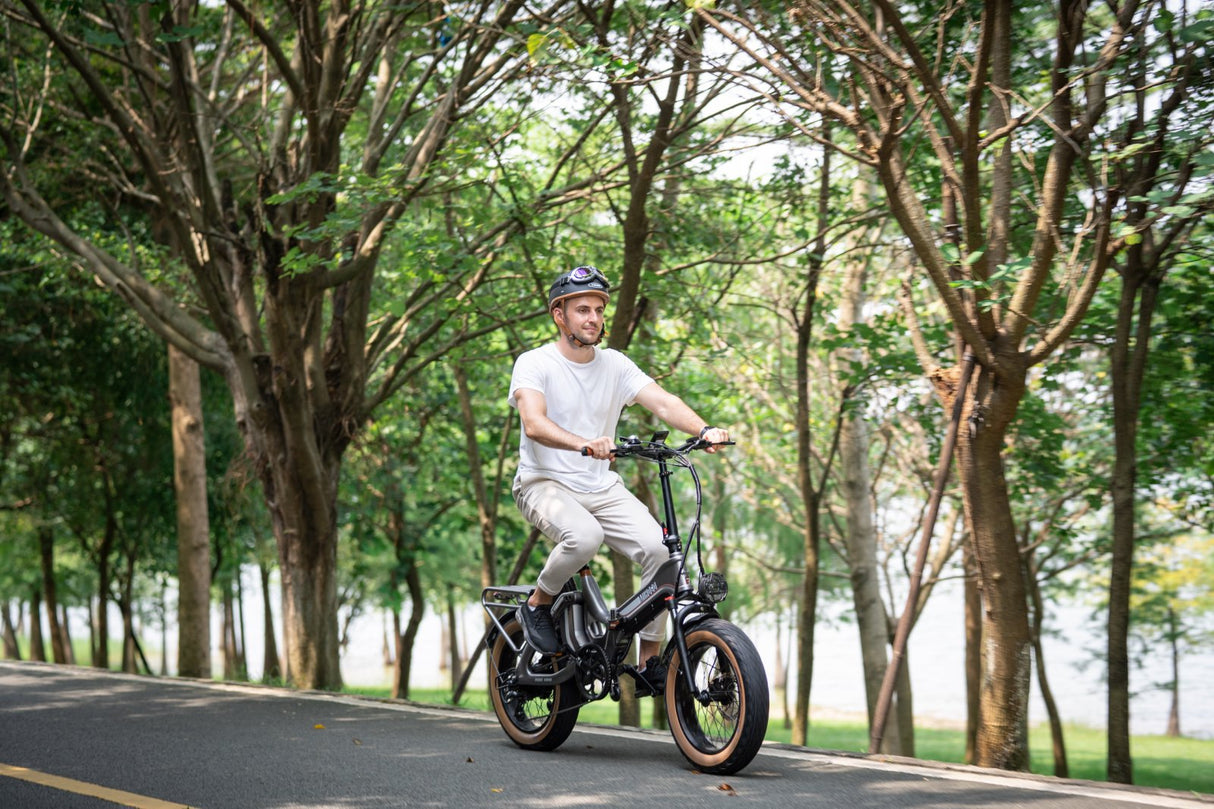 (USA Stock) MIGOHO ONE Intelliegent 48V 12.8Ah&16Ah Dual Batteries 20*4.0 Foldable Ebike