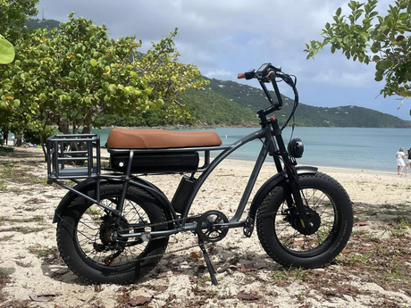 E5 PLUS Mountain & Cargo Electric Bike