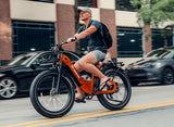 (EU Stokc) Freedare Eden 750W Bafang Motor 48V 20AH  Samsung Battery GPS 26*4 Fat Tire Mountain Ebike