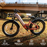 (EU Stokc) Freedare Eden 750W Bafang Motor 48V 20AH  Samsung Battery GPS 26*4 Fat Tire Mountain Ebike