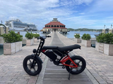 Nexusrider ThunderStrike Dual Motor Super Power Ebike | Hydralic Disc Brake | 2000W 48V 22.4Ah