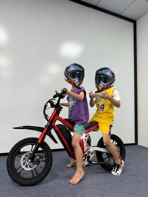 (Ship from China) 36V Electric Dirt Bike for Kids Aged 5-16, 350W Disc Brake Electric Motorcycle Ebike, Maxium Speed 22mph, 3 Speed Settings, Safe Disc Brakes, 16IN Off-Road Tires