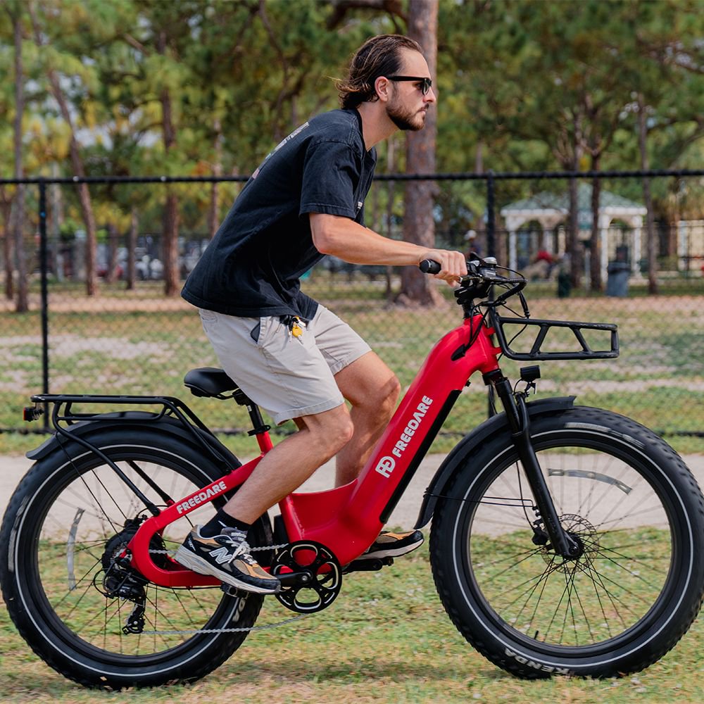 (EU Stokc) Freedare Eden 750W Bafang Motor 48V 20AH  Samsung Battery GPS 26*4 Fat Tire Mountain Ebike