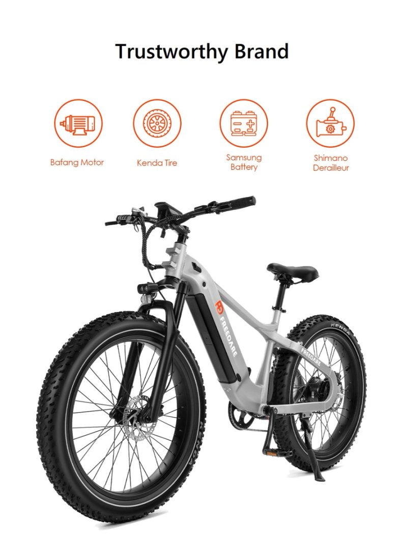 (EU Stock) Freedare Saiga 750W Bafang Motor 48V 20AH SamSung Battery APP Control Ebike