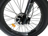 2024 Hot Sale NEXUSRIDER Ebike Whole Replaceable Wheel & Tire