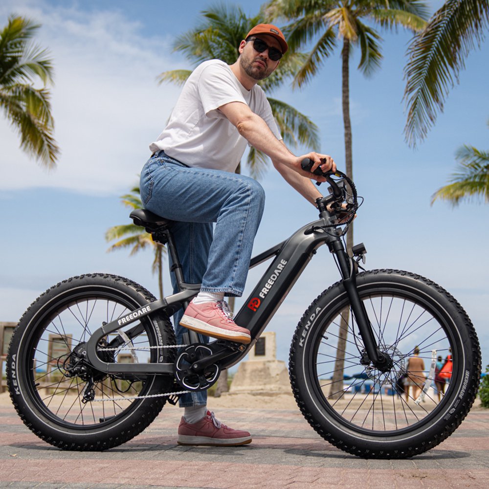 (EU Stock) Freedare Saiga 750W Bafang Motor 48V 20AH SamSung Battery APP Control Ebike