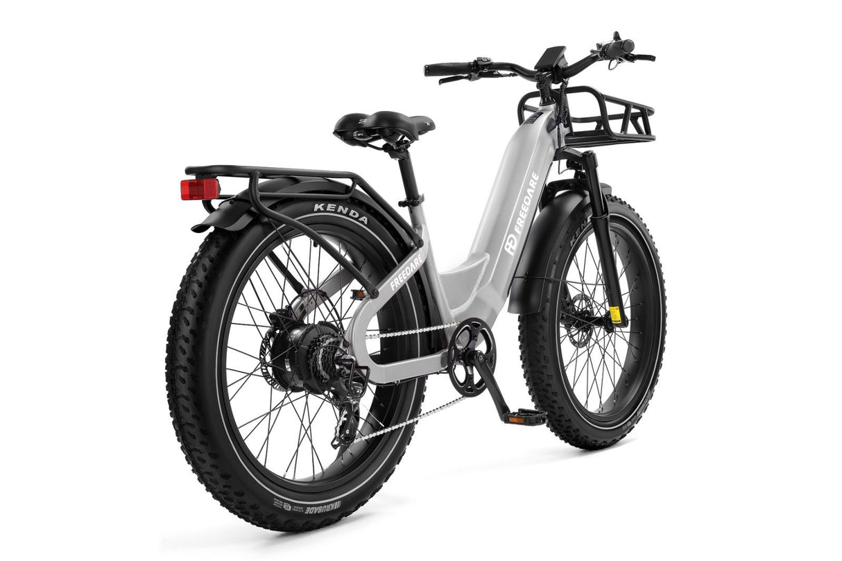 (EU Stokc) Freedare Eden 750W Bafang Motor 48V 20AH  Samsung Battery GPS 26*4 Fat Tire Mountain Ebike