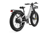 (EU Stokc) Freedare Eden 750W Bafang Motor 48V 20AH  Samsung Battery GPS 26*4 Fat Tire Mountain Ebike