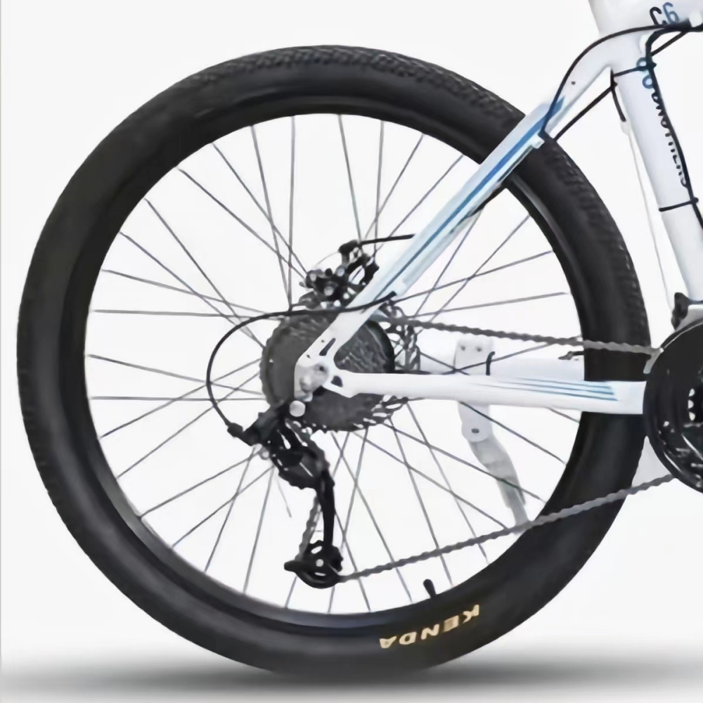 SMLRO C6 1000W Rear Hub Motor Electric Bike White Blue