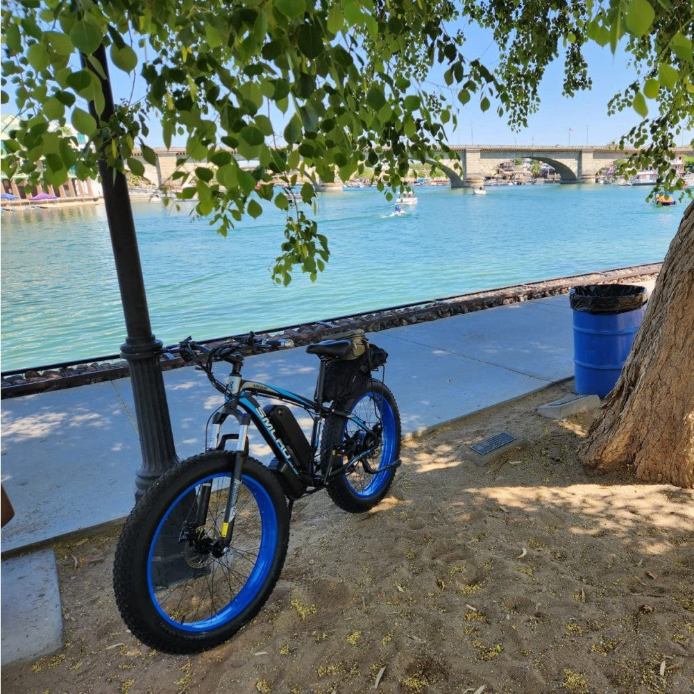 xdc600  ebike summer riding picture