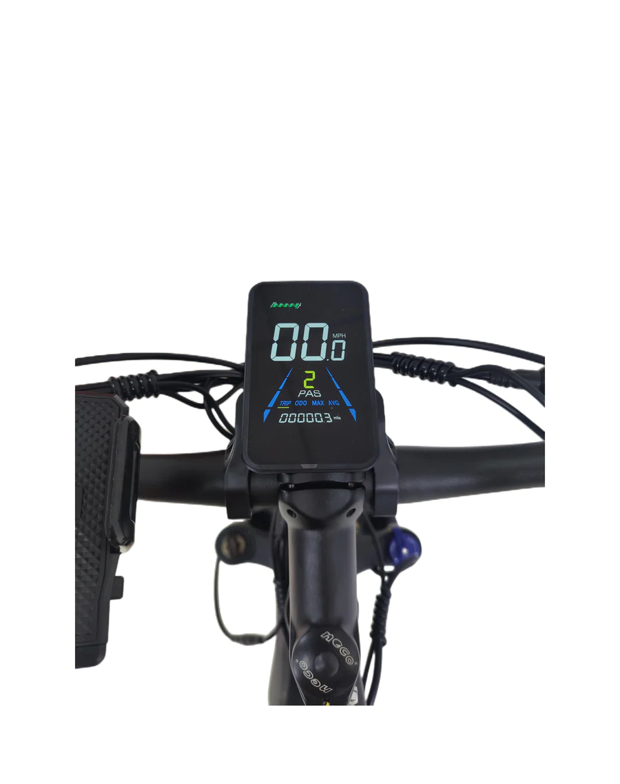 SMLRO Ebike Display Screen/ LCD Meter (Compatible with PHILODO ZEEGR Dakeya Brand Ebikes)