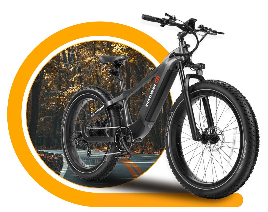 (EU Stock) Freedare Saiga 750W Bafang Motor 48V 20AH SamSung Battery APP Control Ebike