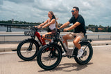 (EU Stokc) Freedare Eden 750W Bafang Motor 48V 20AH  Samsung Battery GPS 26*4 Fat Tire Mountain Ebike