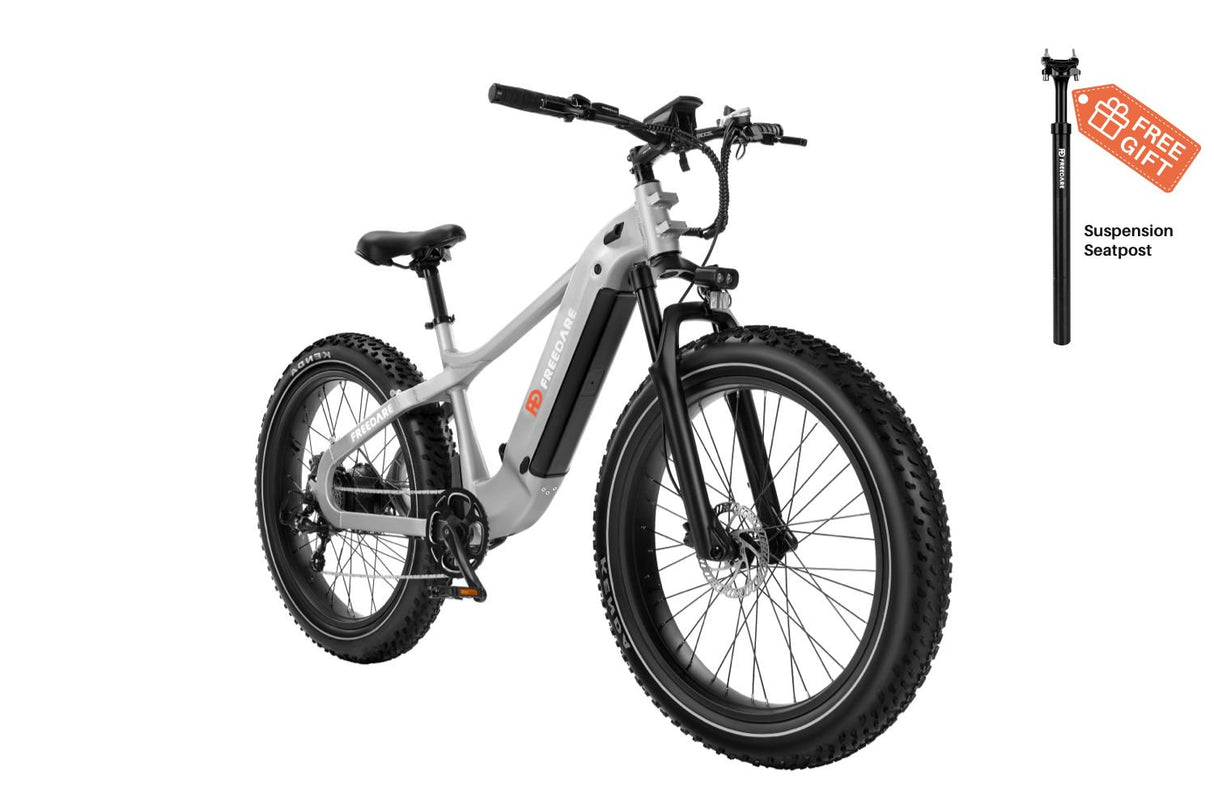 (EU Stock) Freedare Saiga 750W Bafang Motor 48V 20AH SamSung Battery APP Control Ebike