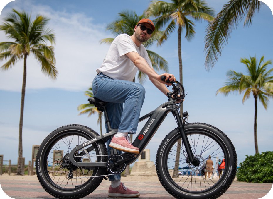 (EU Stock) Freedare Saiga 750W Bafang Motor 48V 20AH SamSung Battery APP Control Ebike